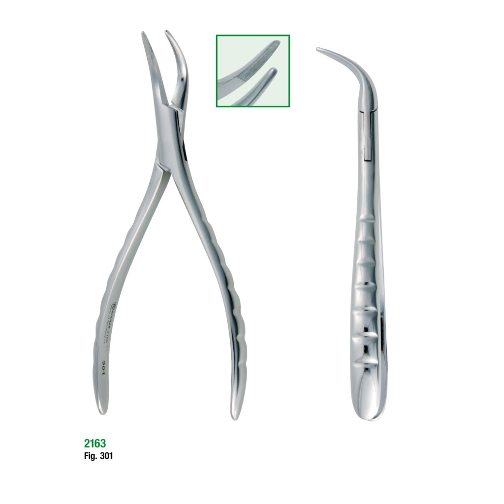 Root Forceps American No.301 SDT